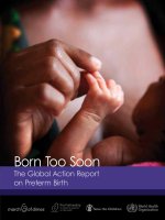 Born Too Soon - The Global Action Report on Preterm Birth 2012 pot