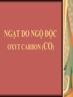 Ngạt do ngộ độc CO potx