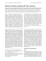 Báo cáo Y học: Molecular mechanisms underlying SHP-1 gene expression potx