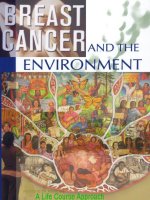 Breast Cancer and the Environment potx