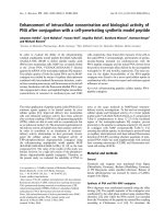Báo cáo khoa học: Enhancement of intracellular concentration and biological activity of PNA after conjugation with a cell-penetrating synthetic model peptide docx