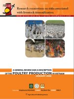 RESEARCH CONSORTIUM ON RISKS ASSOCIATED WITH LIVETOCK INTENSIFICATION doc