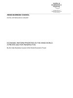 ECONOMIC REFORM PRIORITIES IN THE ARAB WORLD: A PRIVATE SECTOR PERSPECTIVE docx