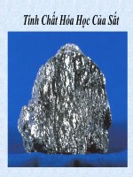 Tính Chất Hóa Học Của Sắt pot