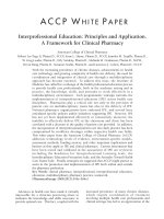 Interprofessional Education: Principles and Application doc