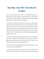 Sáp nhập - hợp nhất: Liệu pháp cho ổn định? ppt