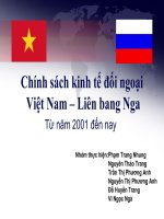 Chính sách kinh tế đối ngoại Việt Nam – Liên bang Nga potx