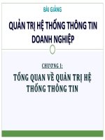 QUẢN TRỊ HỆ THỐNG THÔNG TIN DOANH NGHIỆP - CHƯƠNG I: TỔNG QUAN VỀ QUẢN TRỊ HỆ THỐNG THÔNG TIN doc