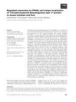 Báo cáo khoa học: Regulated expression by PPARa and unique localization of 17b-hydroxysteroid dehydrogenase type 11 protein in mouse intestine and liver pdf