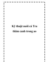 Kỹ thuật nuôi cá Tra thâm canh trong ao pot