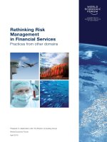 Rethinking Risk Management in Financial Services Practices from other domains potx