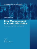 Risk Management in Credit Portfolios docx