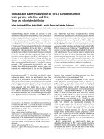 Báo cáo Y học: Myristyl and palmityl acylation of pI 5.1 carboxylesterase from porcine intestine and liver Tissue and subcellular distribution potx