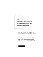 A Framework To Identify Gender Indicators For Reproductive Health and Nutrition Programming doc