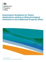 Examination Guidelines for Patent Applications relating to Biotechnological Inventions in the Intellectual Property Ofﬁce