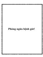 Phòng ngừa bệnh gút pptx