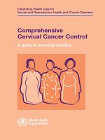 Comprehensive Cervical Cancer Control: A guide to essential practice potx