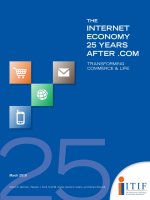 The Internet Economy 25 Years After .Com: Transforming Commerce & Life doc