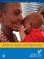 Resilience, Equity, and Opportunity docx