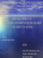 CAY GHEP TE BAO-DI GHEP potx