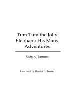 Tum Tum The Jolly Elephantby His Many Adventures By Harriet H. Tooker, Richard Barnum doc