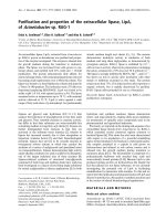 Báo cáo Y học: Puriﬁcation and properties of the extracellular lipase, LipA, of Acinetobacter sp. RAG-1 docx