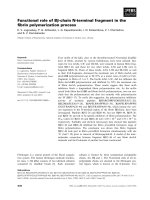 Báo cáo khoa học: Functional role of Bb-chain N-terminal fragment in the ﬁbrin polymerization process pdf