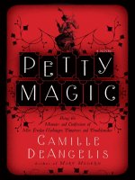 Petty Magic by Camille DeAngelis ppt