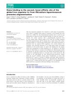Báo cáo khoa học: Heme binding to the second, lower-afﬁnity site of the global iron regulator Irr from Rhizobium leguminosarum promotes oligomerization potx