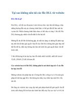 Tại sao không nên tải các file DLL từ website ppt