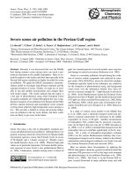 Severe ozone air pollution in the Persian Gulf region pdf