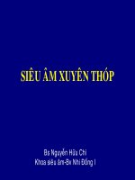 Siêu âm xuyên thóp potx