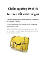 Chiêm ngưỡng 10 chiếc túi xách đắt nhất thế giới ppt