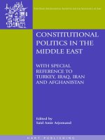 Constitutional Politics in the Middle East doc