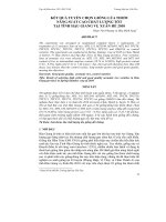 KẾT QUẢ TUYỂN CHỌN GIỐNG LÚA THƠM NĂNG SUẤT CAO CHẤT LƯỢNG TỐT TẠI TỈNH HẬU GIANG VỤ XUÂN HÈ 2010 ppt