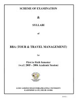 SCHEME OF EXAMINATION & SYLLABI of BBA (TOUR & TRAVEL MANAGEMENT) for First to Sixth Semester (w.e.f. 2005 – 2006 Academic Session) pptx