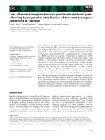 Báo cáo khoa học: Loss of sense transgene-induced post-transcriptional gene silencing by sequential introduction of the same transgene sequences in tobacco pot