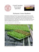 Cornell Controlled Environment Agriculture : Hydroponic Lettuce Handbook doc
