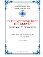 Tiểu luận: LÝ THUYẾT ĐỒNG DẠNG THỨ NGUYÊN ppt