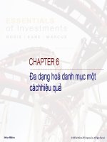 Đa dạng hóa các danh mục một cách hiệu quả docx