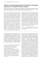 Báo cáo Y học: Inhibition of glycosyl-phosphatidylinositol biosynthesis in Plasmodium falciparum by C-2 substituted mannose analogues pot