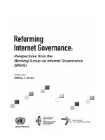 Reforming Internet Govermernance- Perspectives from the Working Group on Internet Governance pptx