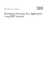 Developing Enterprise Java Applications Using DB2 doc