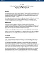 Effective Project Management of SAS® Projects Adapting the PMI Framework pot