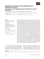 Báo cáo khoa học: Degradation of chitosans with chitinase B from Serratia marcescens Production of chito-oligosaccharides and insight into enzyme processivity docx