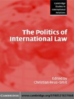 The Politics of International Law doc