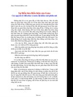 Sự điều hòa biểu hiện của gen - Các nguyên lý điều hòa mức độ kiểm soát phiên mã ppt