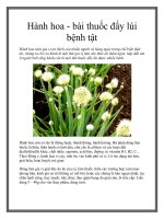 Hành hoa - bài thuốc đẩy lùi bệnh tật potx