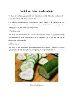 Lợi ích sức khỏe của dưa chuột ppt