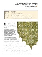 Ashton Shawlette DESIGN BY DEE pptx